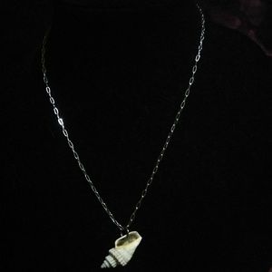 Natural Florida shell necklace in silver tone